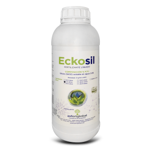 P-Eckosil
